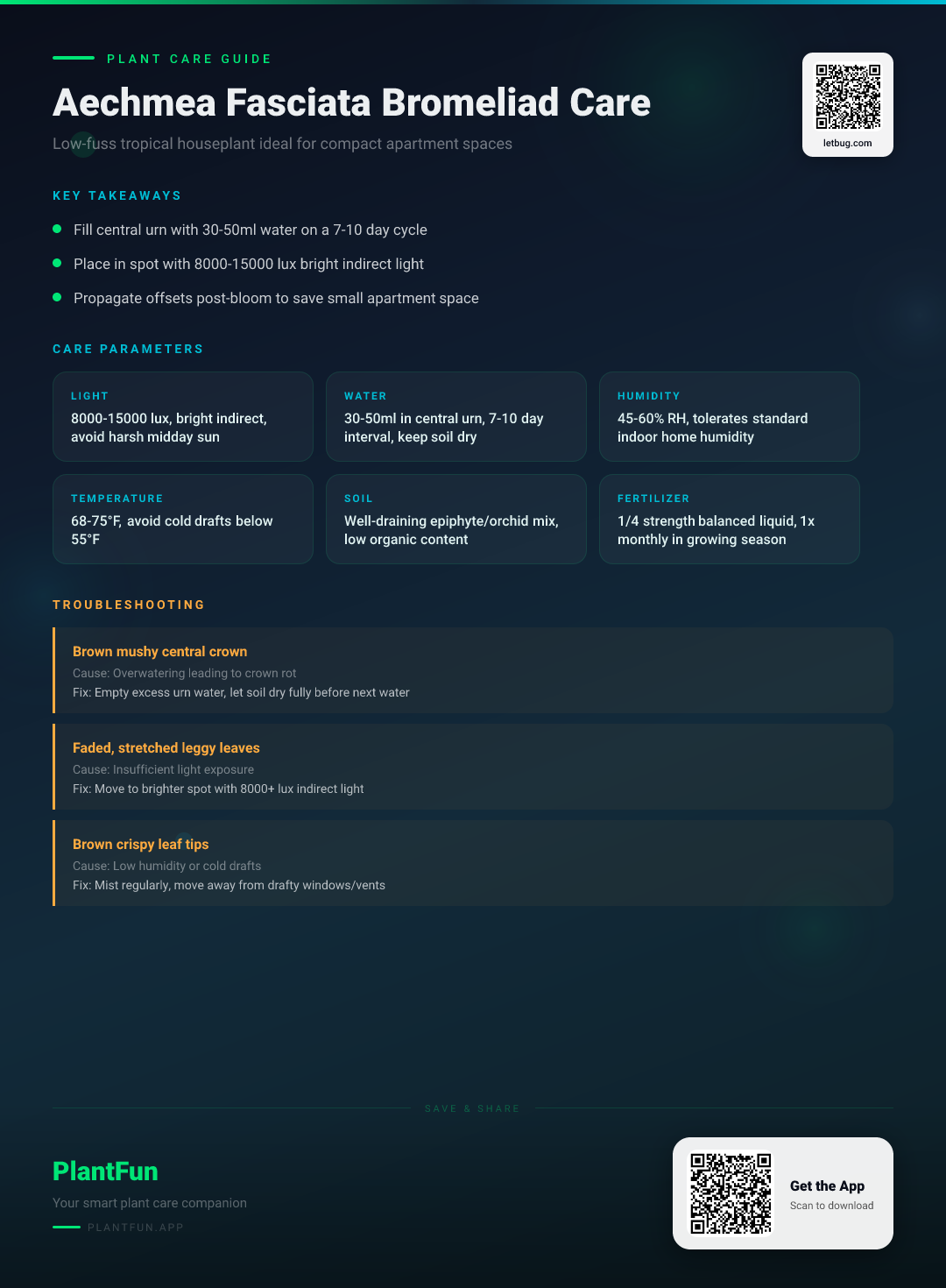 Aechmea Fasciata Bromeliad Care for Compact Apartments: The Ultimate 4-Step Success Guide — Care Guide for indoor houseplants