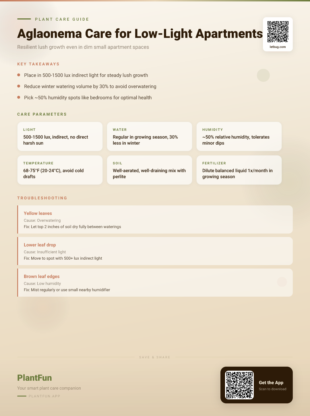 Aglaonema in Low-Light Apartments: The Essential Care Guide for Resilient, Lush Growth — Care Guide for indoor houseplants