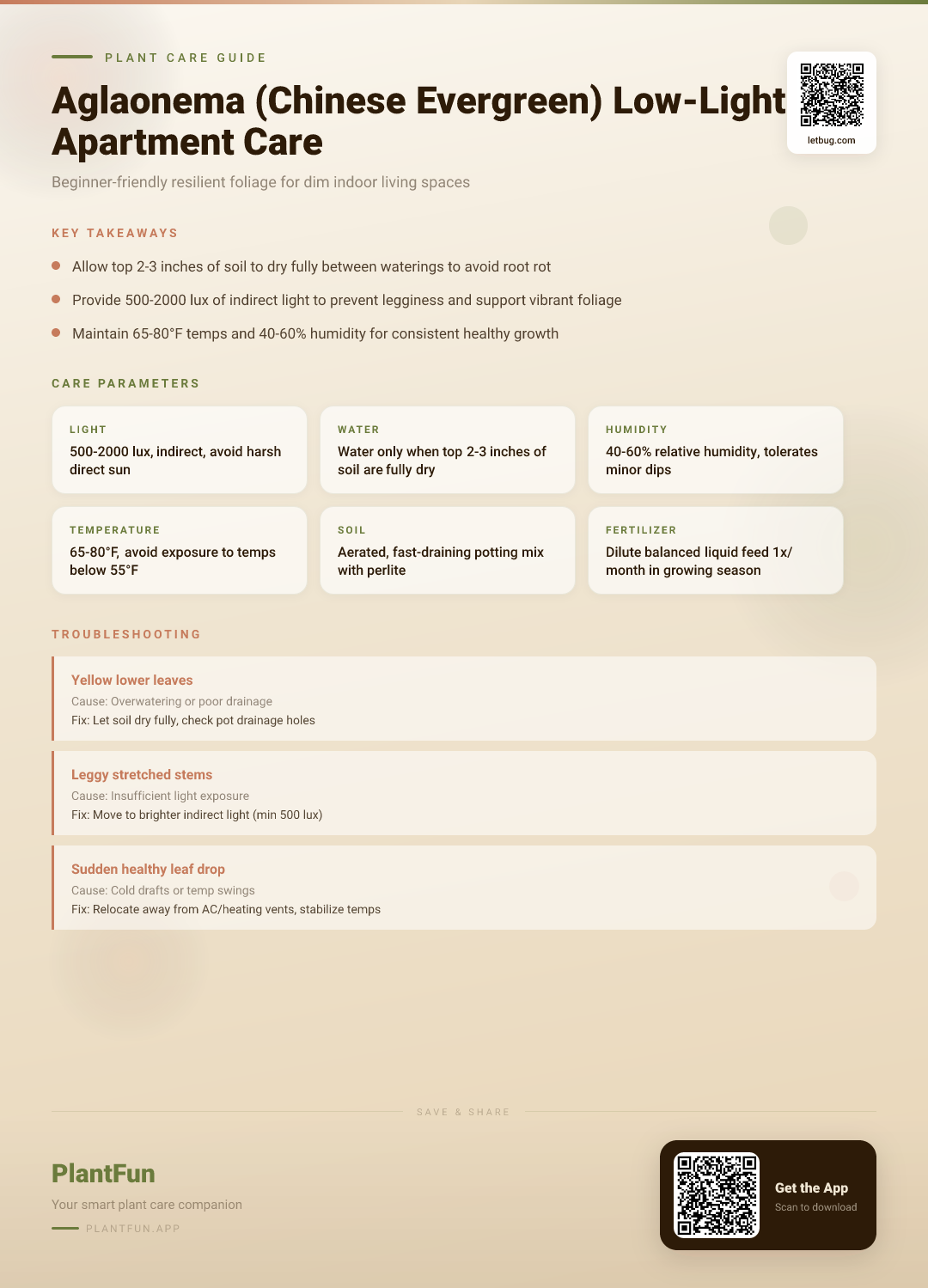 Aglaonema in Low-Light Apartments: A Resilient Growth Guide for Beginners and Beyond — Care Guide for indoor houseplants