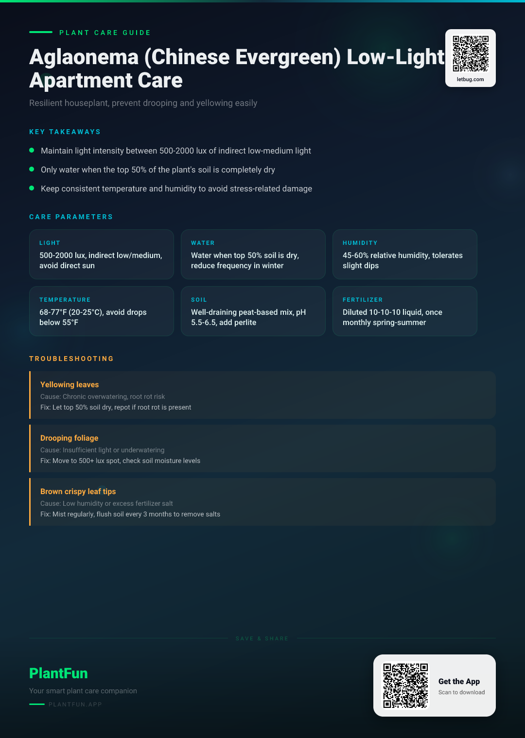 Aglaonema in Low-Light Apartments: A Resilient Growth Guide to Prevent Drooping and Yellowing — Care Guide for indoor houseplants