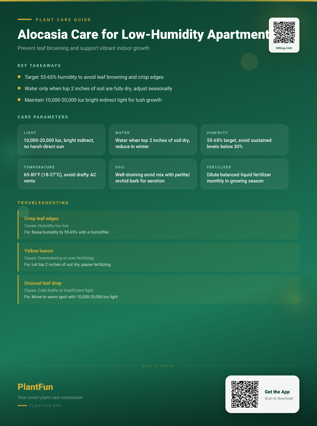 Alocasia in Low-Humidity Apartments: The Essential Guide to Keeping Leaves Healthy and Vibrant — Care Guide for indoor houseplants