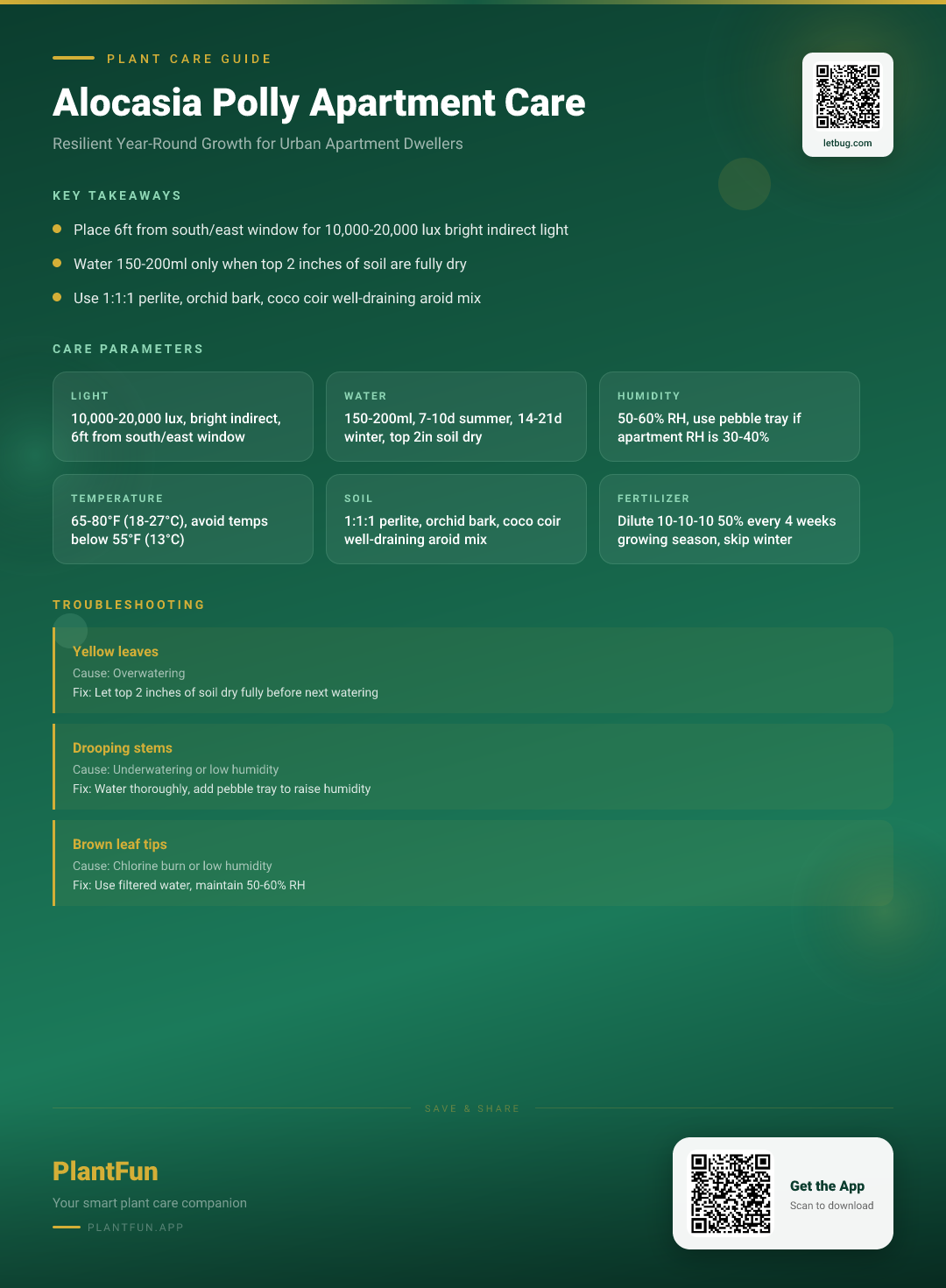 Alocasia Polly Care Checklist for Resilient Growth in Typical Urban Apartments — Care Guide for indoor houseplants