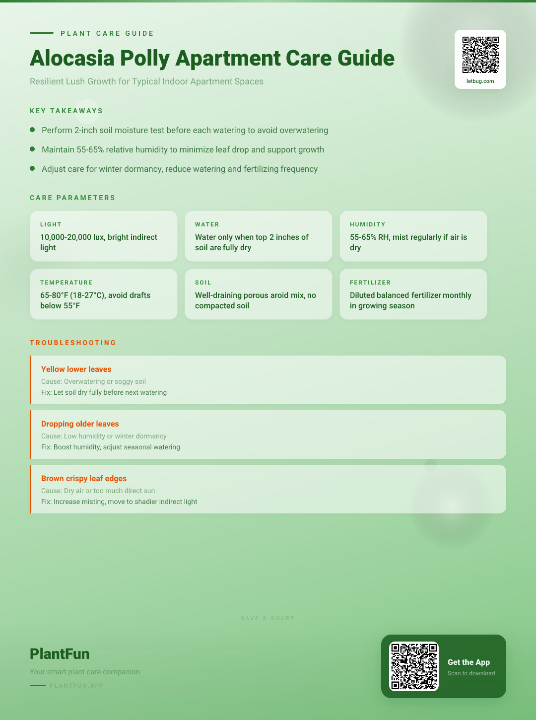 Alocasia Polly in a Typical Apartment: The Complete Guide to Resilient Growth — Care Guide for indoor houseplants