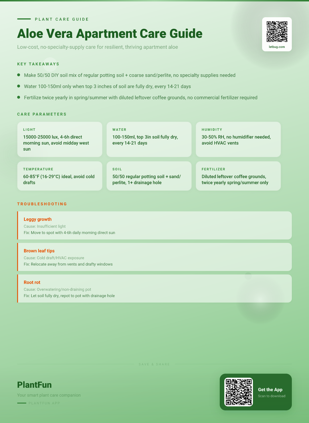 Aloe Vera in Typical Apartments: The Budget Care Checklist for Resilient, Thriving Growth — Care Guide for indoor houseplants