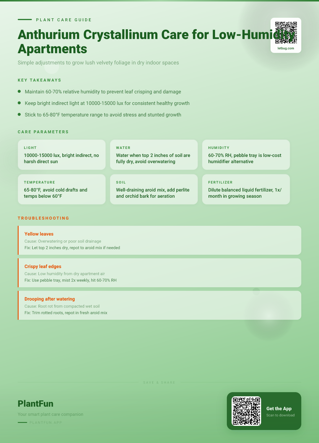 Anthurium Crystallinum in Low-Humidity Apartments: A 5-Step Resilience Guide for Lush Foliage — Care Guide for indoor houseplants