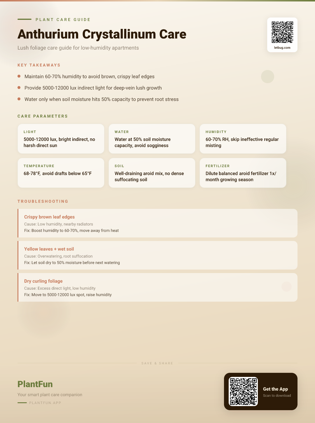 Anthurium Crystallinum in Low-Humidity Apartments: The Ultimate 4-Step Resilience Guide for Lush Leaves — Care Guide for indoor houseplants