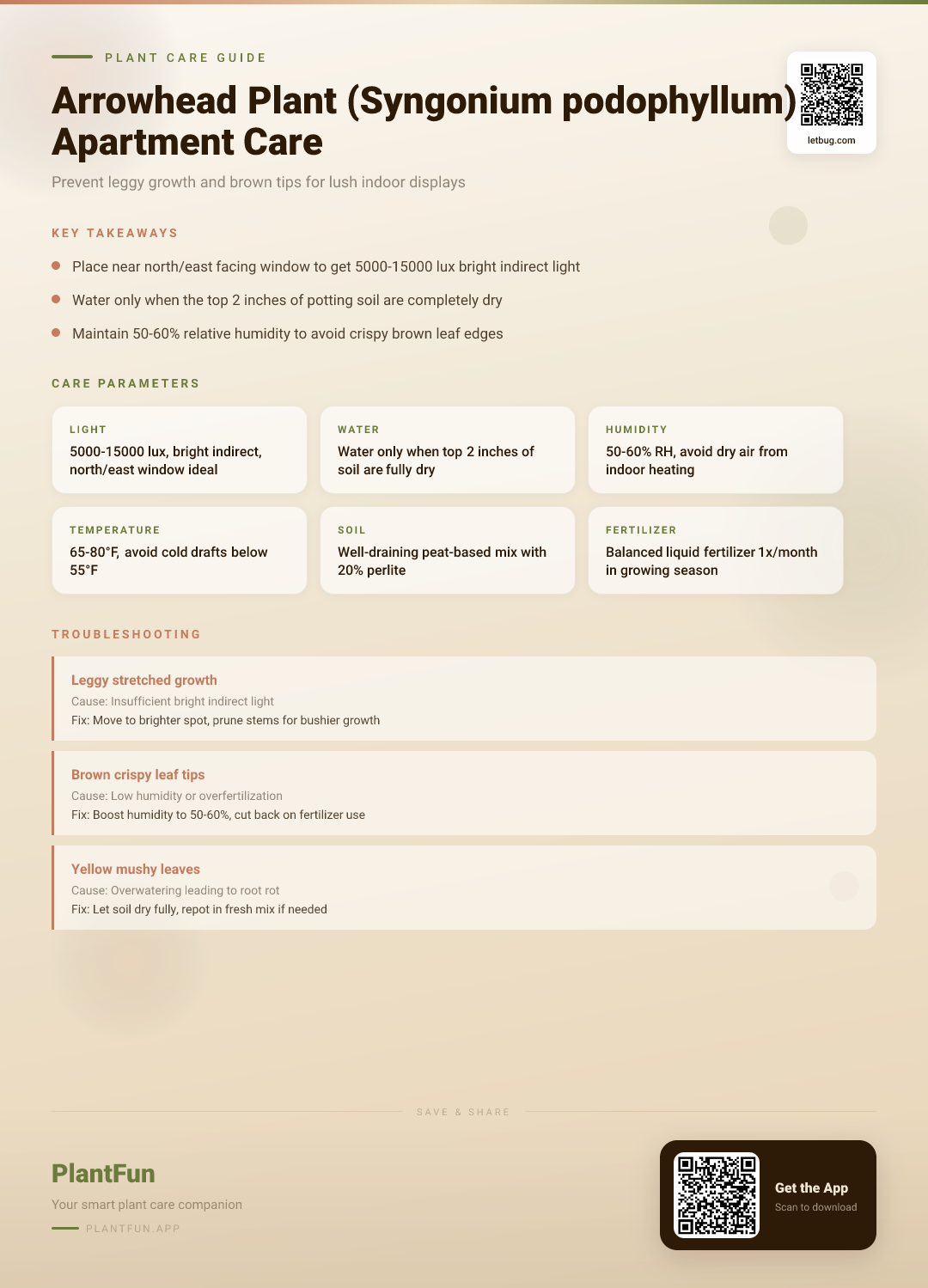 Arrowhead Plant Care for Apartment Living: How to Avoid Leggy Growth and Brown Tips — Care Guide for indoor houseplants