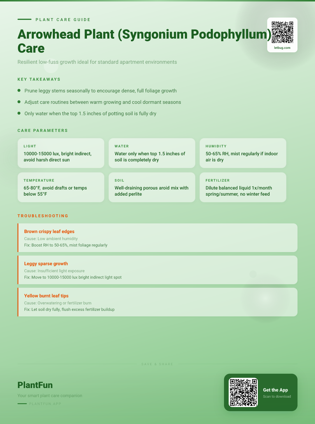 Arrowhead Plant Care in Typical Apartments: A Resilient Seasonal Growth Checklist for Success — Care Guide for indoor houseplants