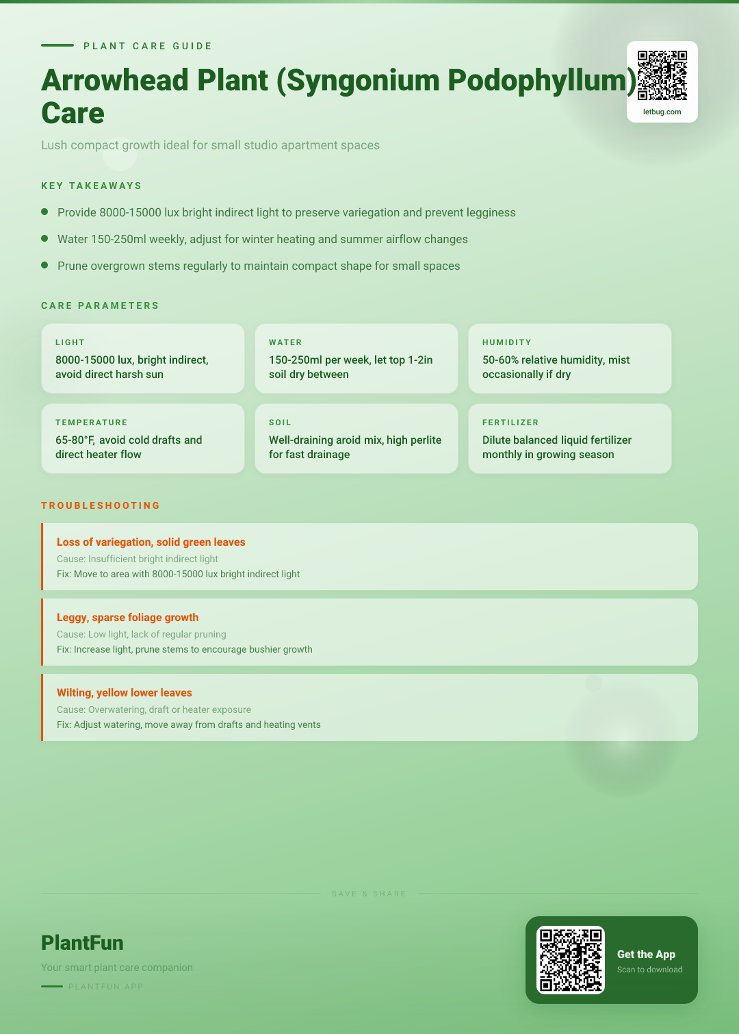 Arrowhead Plant in a Studio Apartment: The Ultimate Care Guide for Lush Growth — Care Guide for indoor houseplants