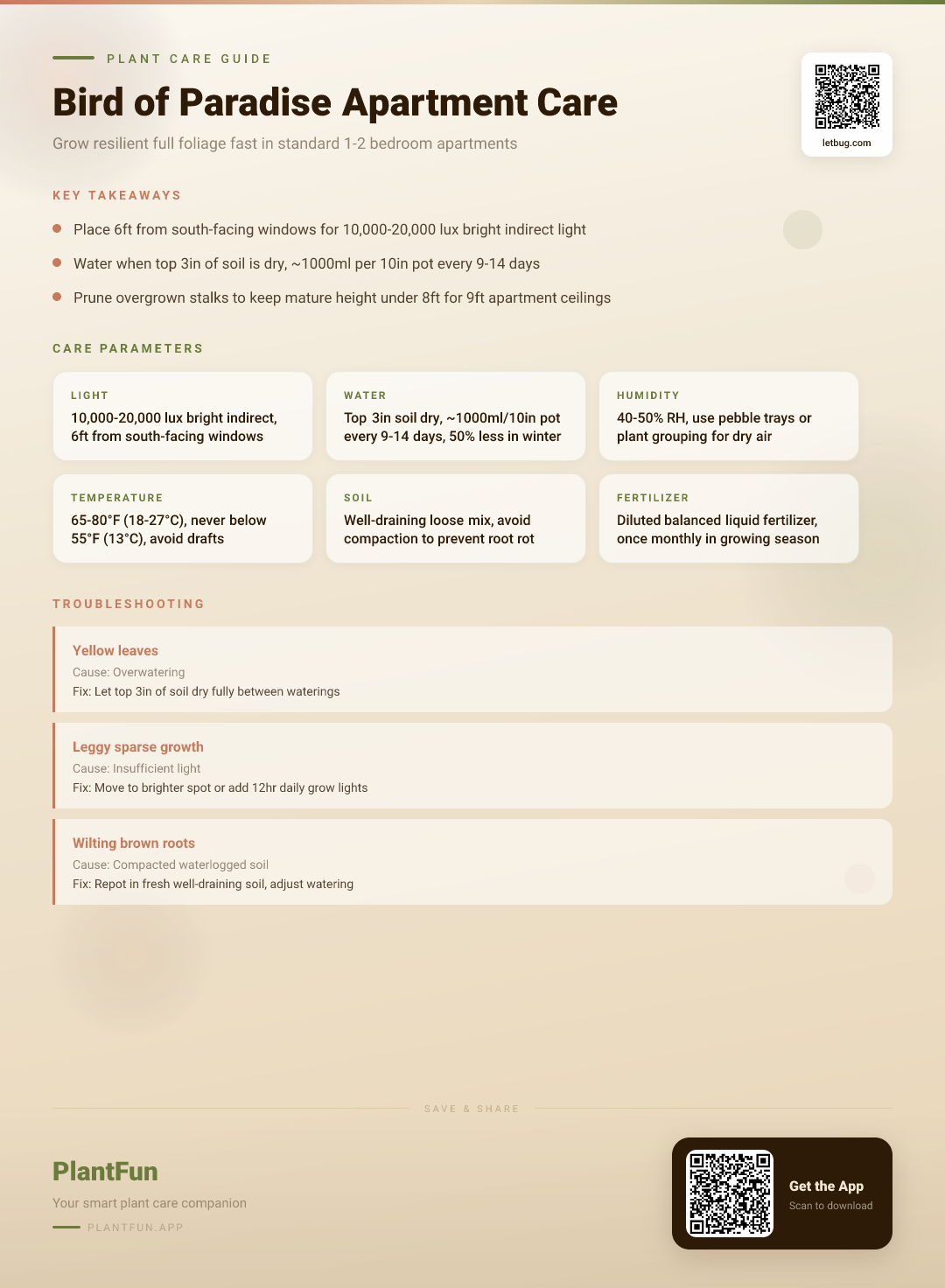 Bird of Paradise Care Checklist for 1-2 Bedroom Apartments: Grow Resilient, Full Foliage Fast — Care Guide for indoor houseplants