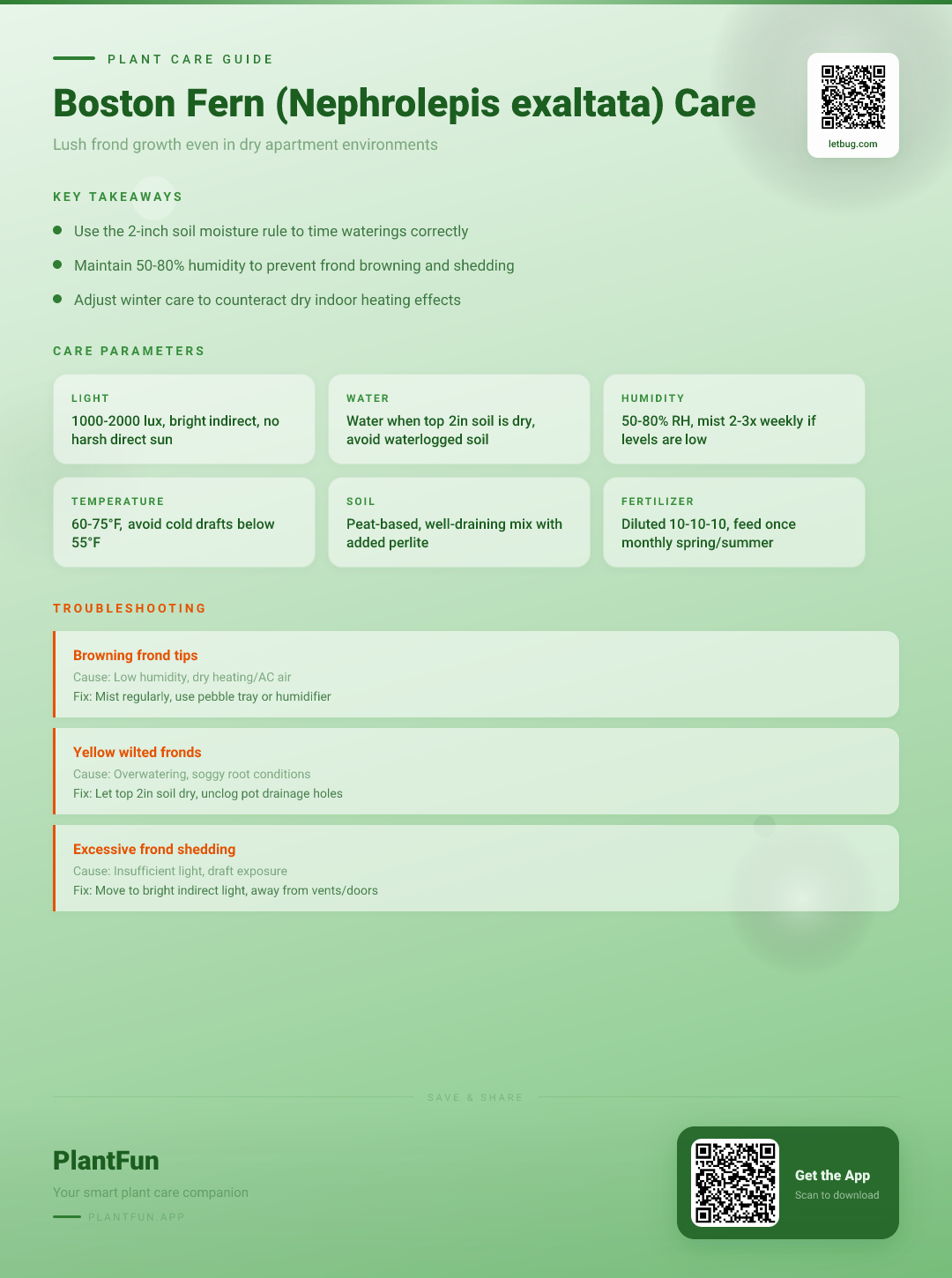 Boston Fern in Your Dry Apartment: The 5-Step System for Lush, Frond-Filled Success — Care Guide for indoor houseplants