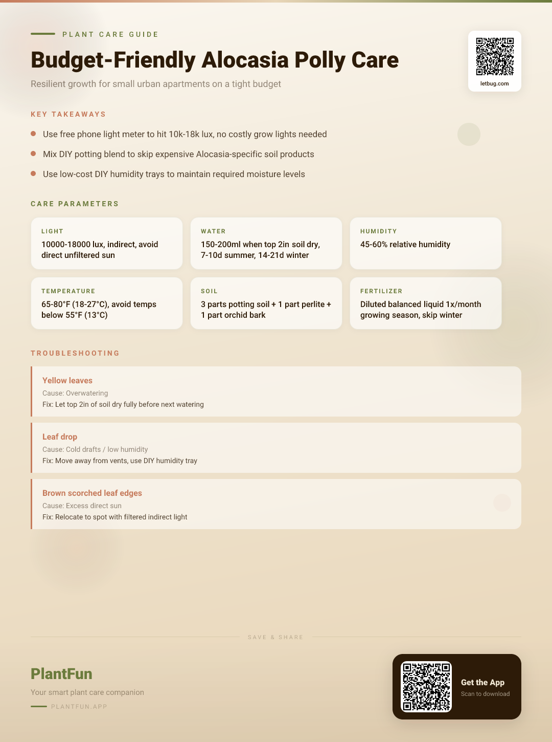 Budget-Friendly Alocasia Polly Care Checklist for Resilient Growth in Small Urban Apartments — Care Guide for indoor houseplants