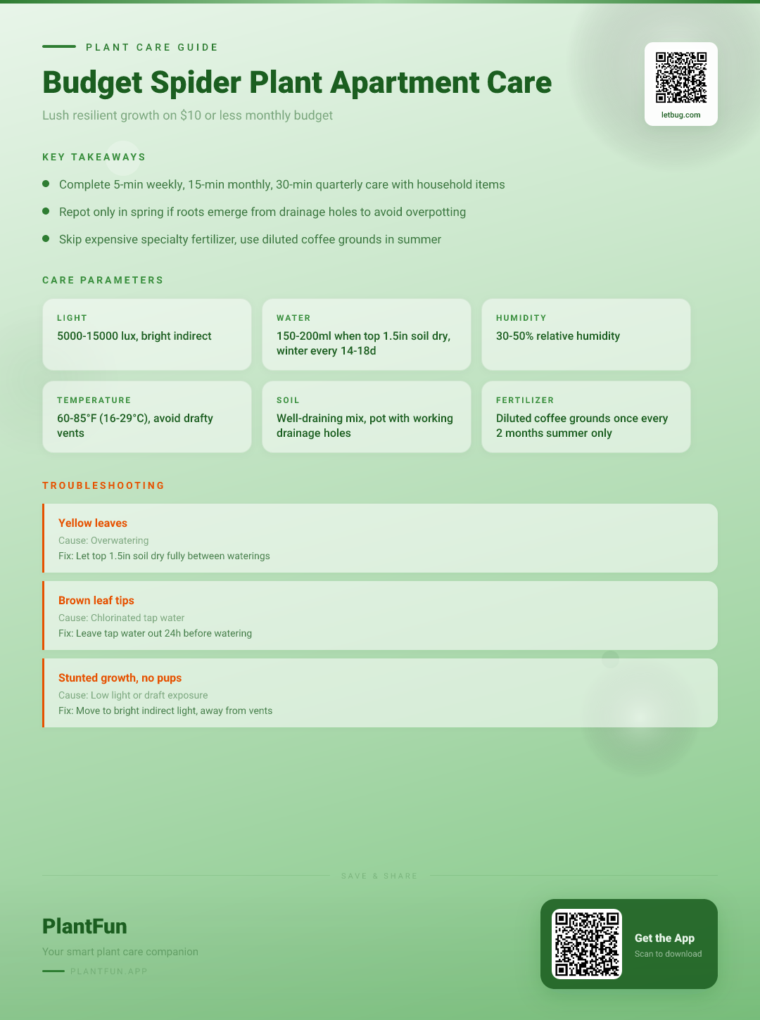 The Budget Spider Plant Care Checklist for Resilient Lush Growth in Typical Apartments — Care Guide for indoor houseplants