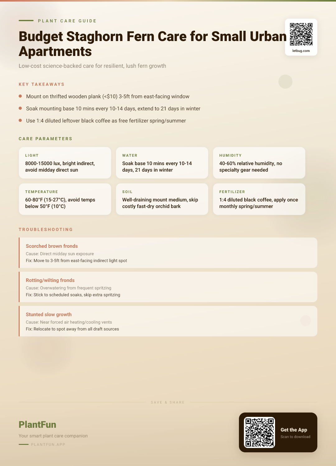 The Budget Staghorn Fern Care Checklist for Resilient Growth in Small Urban Apartments — Care Guide for indoor houseplants