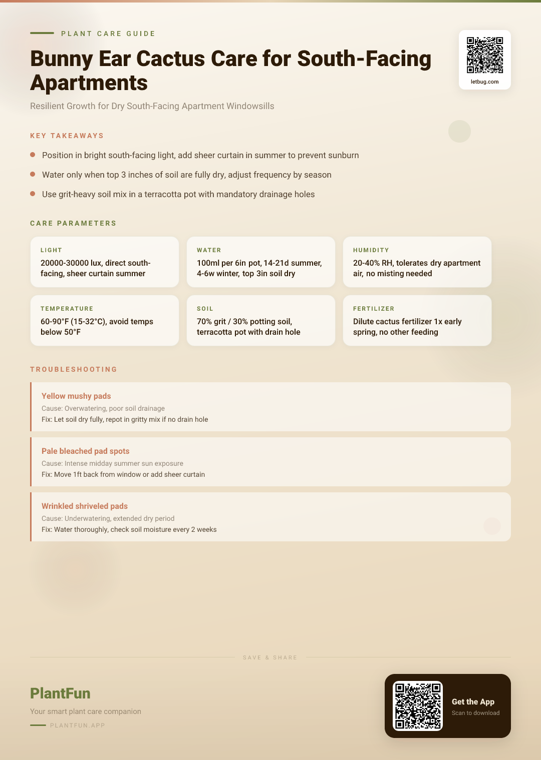 Bunny Ear Cactus Care Checklist: Resilient Growth for Dry South-Facing Apartment Windowsills — Care Guide for indoor houseplants