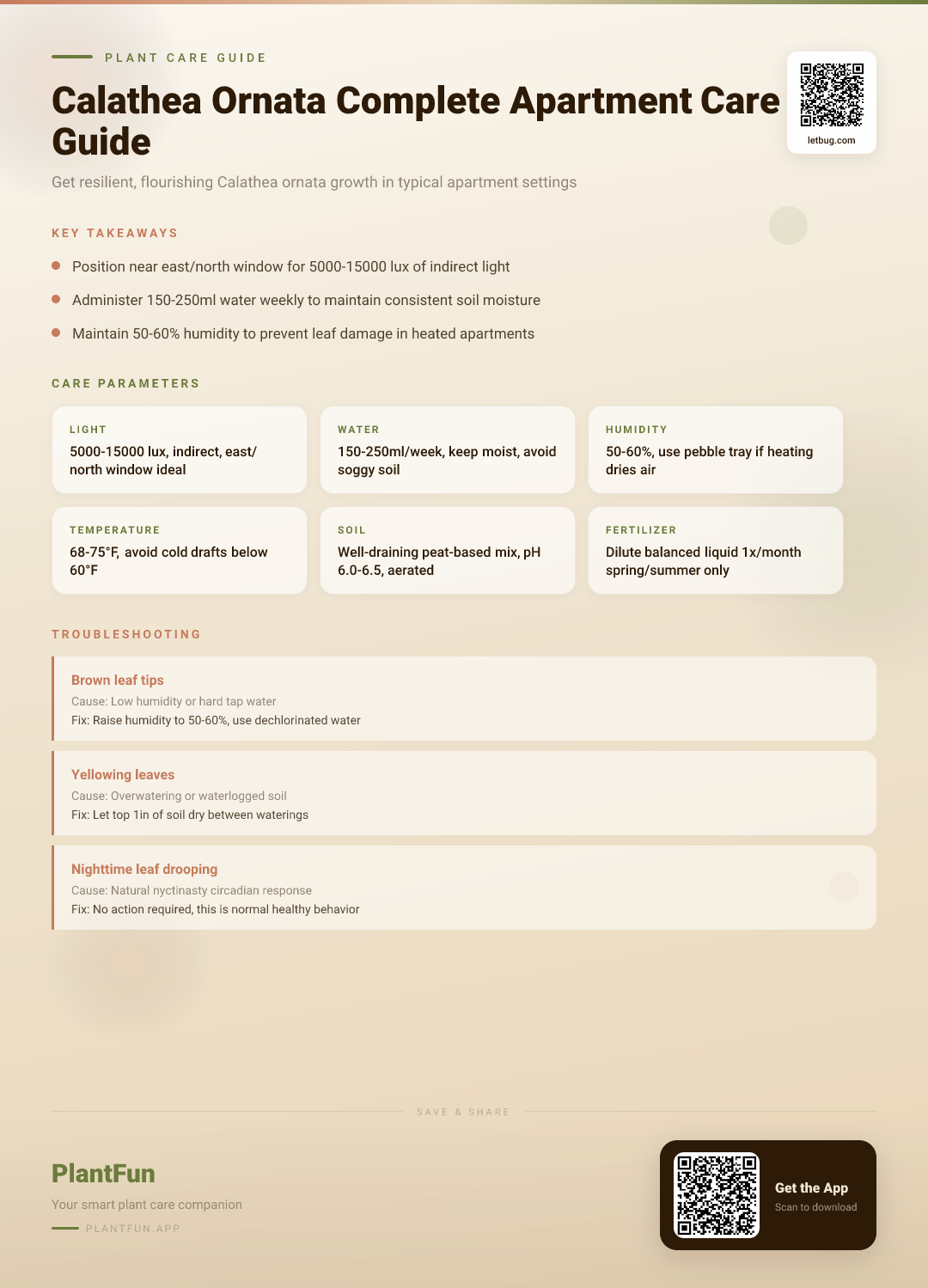 Calathea ornata in a Typical Apartment: The Complete Care Guide for Resilient Growth — Care Guide for indoor houseplants