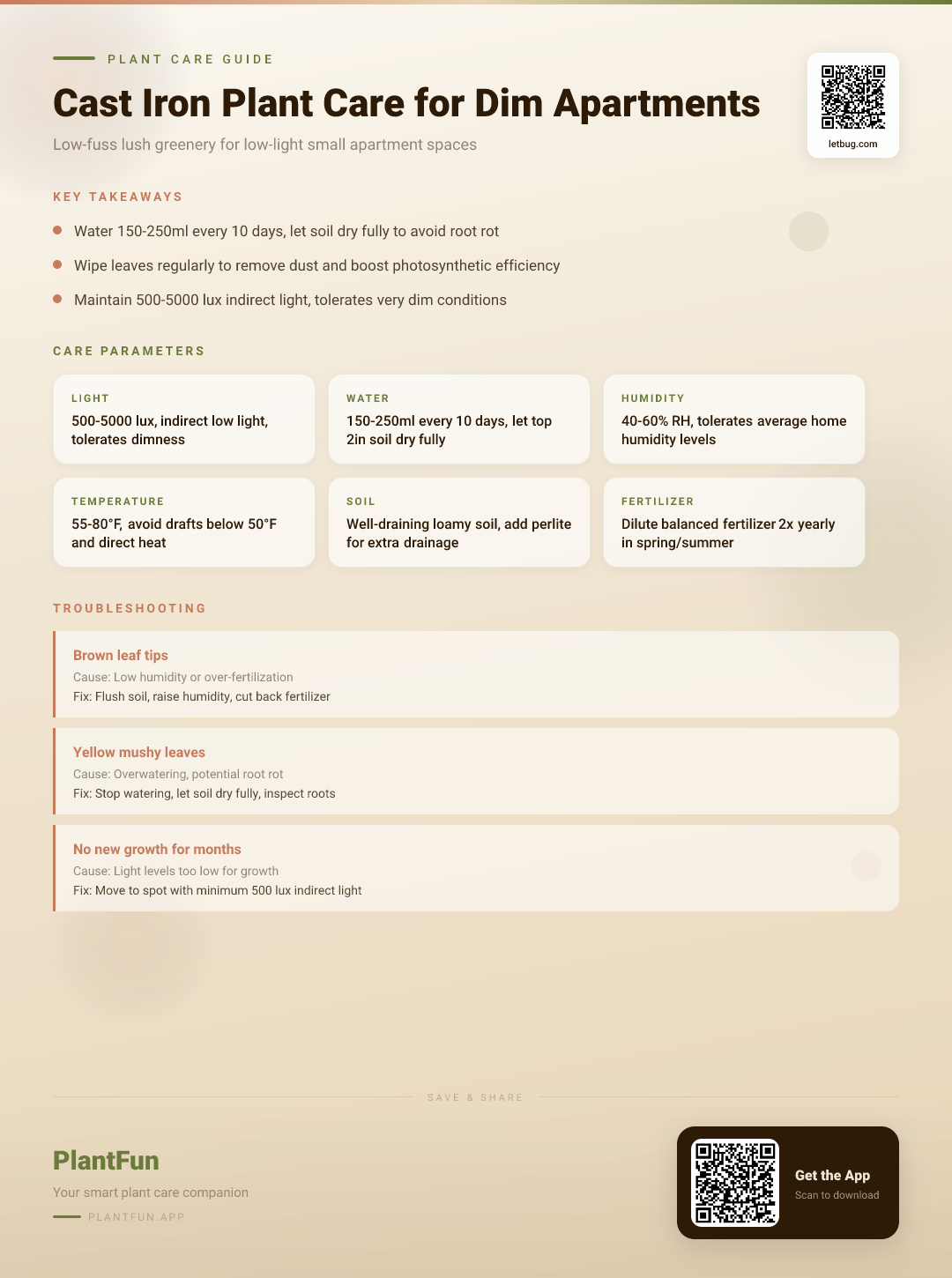 Cast Iron Plant in Dim Apartments: The Only Care Guide You Will Ever Need — Care Guide for indoor houseplants