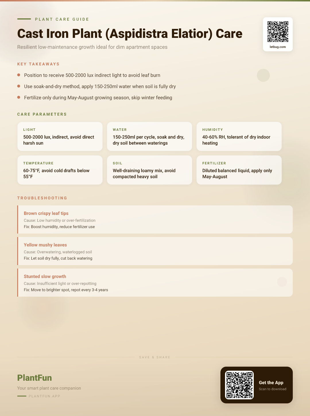 Cast Iron Plant in Dim Apartments: The Ultimate Care Guide for Resilient Growth — Care Guide for indoor houseplants