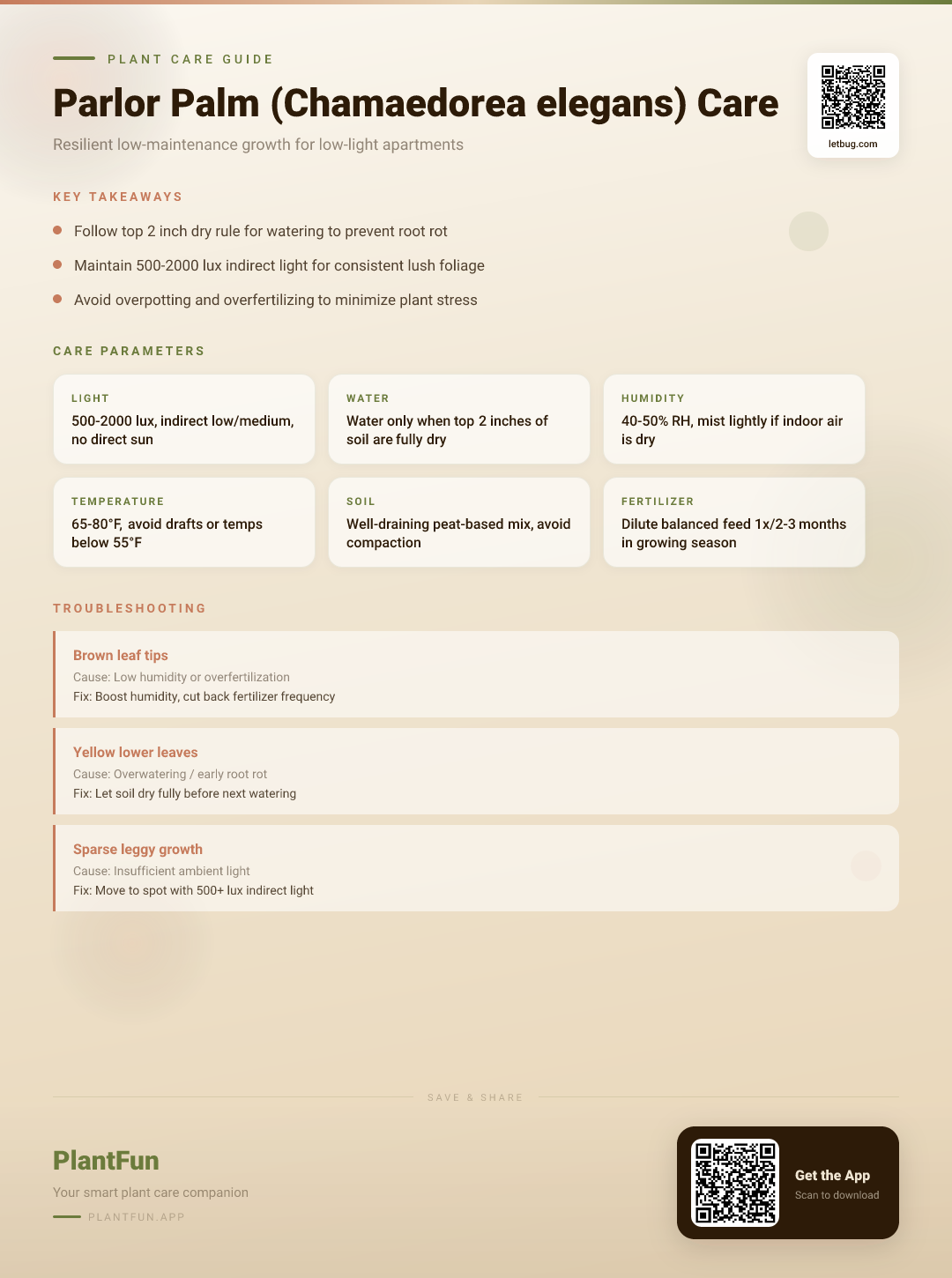 Chamaedorea elegans in a Low-Light Apartment: The Complete Care Guide for Resilient Growth — Care Guide for indoor houseplants