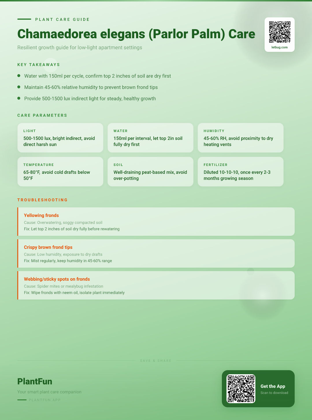 Chamaedorea elegans in a Low-Light Apartment: The Definitive Care Guide for Resilient Growth — Care Guide for indoor houseplants