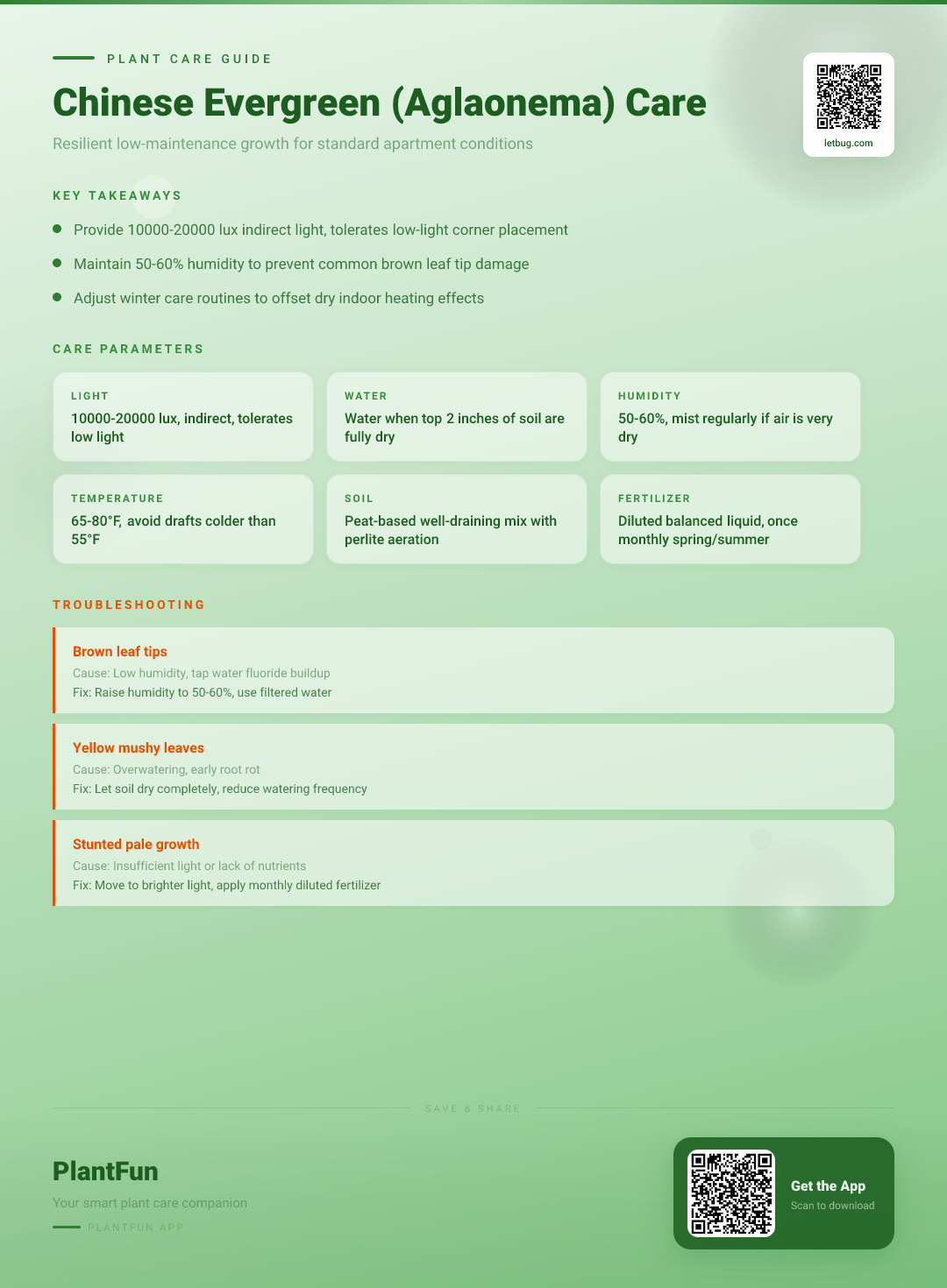 Chinese Evergreen Care for Typical Apartments: The Complete Guide to Resilient Indoor Growth — Care Guide for indoor houseplants