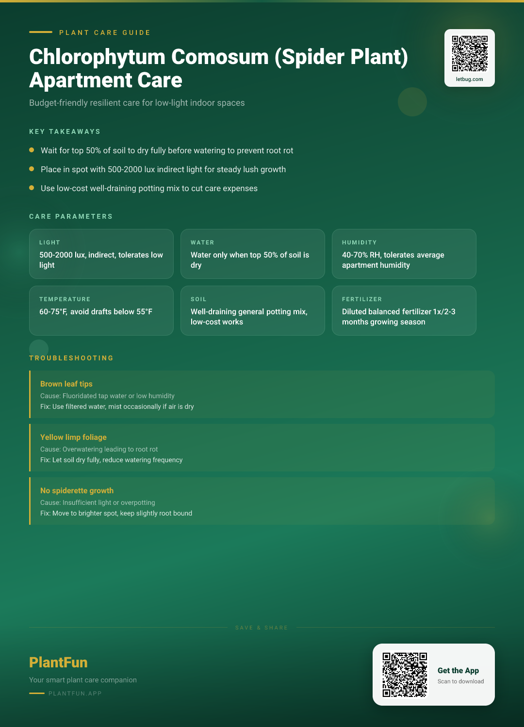 Chlorophytum Comosum in a Low-Light Apartment: The Ultimate Budget-Friendly Resilient Growth Care Plan — Care Guide for indoor houseplants