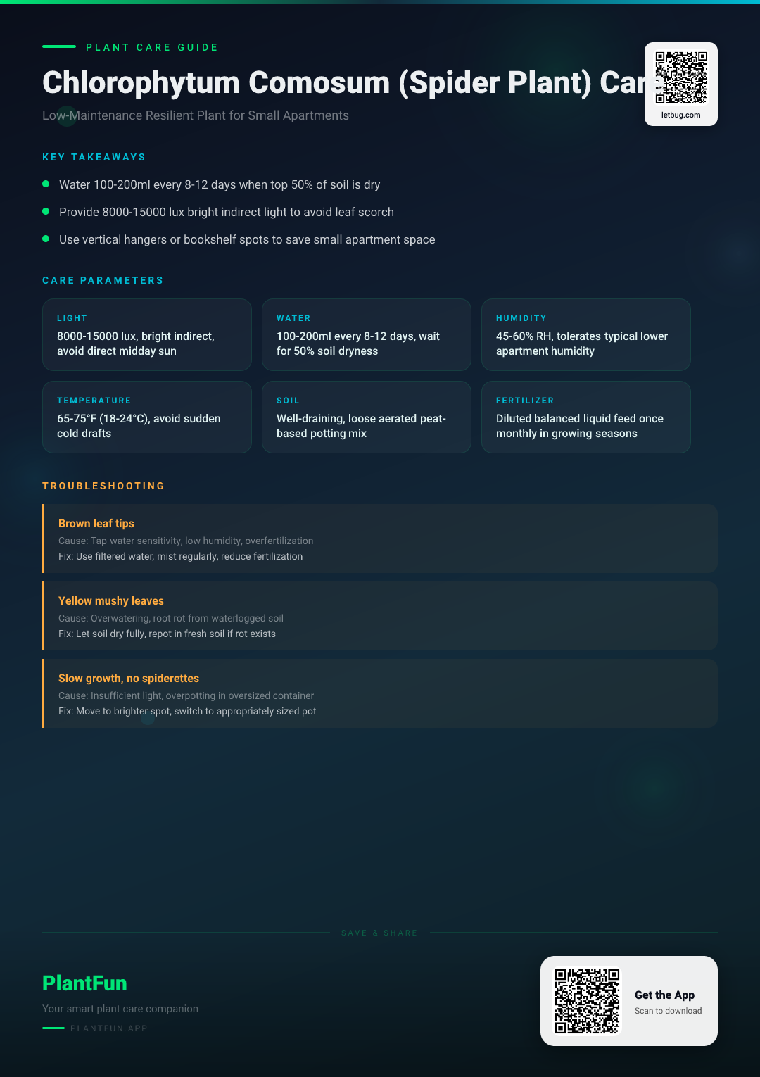 Chlorophytum Comosum in Small Apartments: The Ultimate Care Guide for Resilient Spider Plants — Care Guide for indoor houseplants