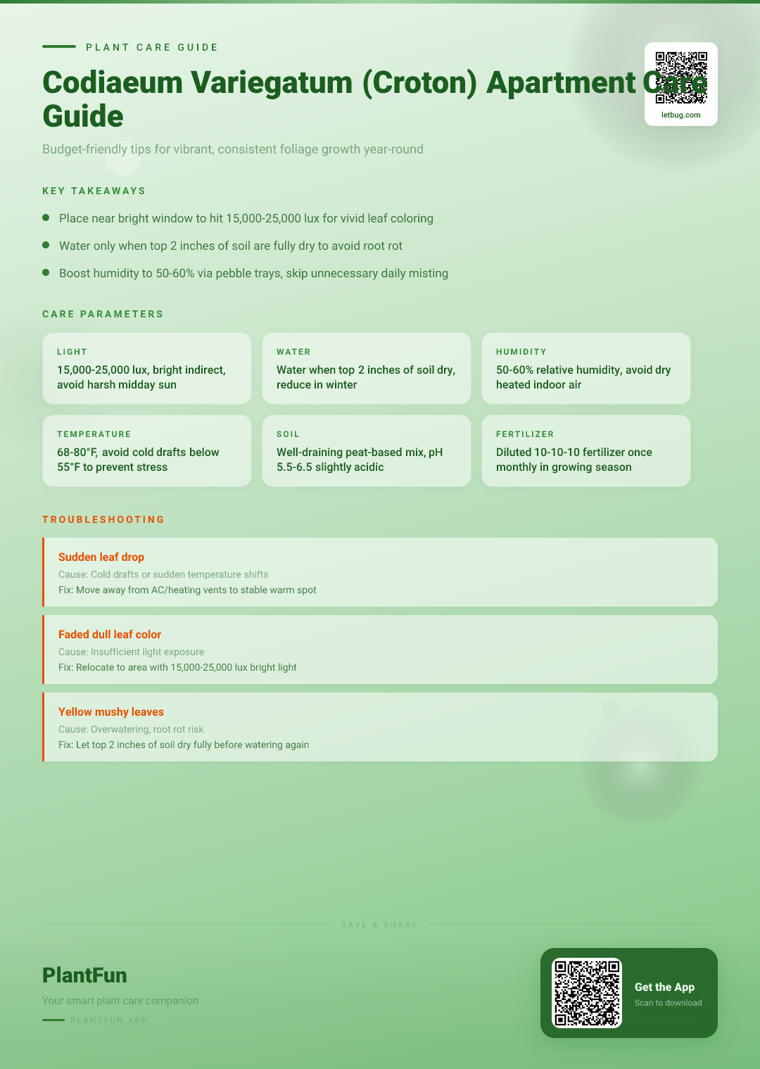 Codiaeum variegatum in a Typical Apartment: The Essential Budget-Friendly Care Guide for Vibrant Growth — Care Guide for indoor houseplants