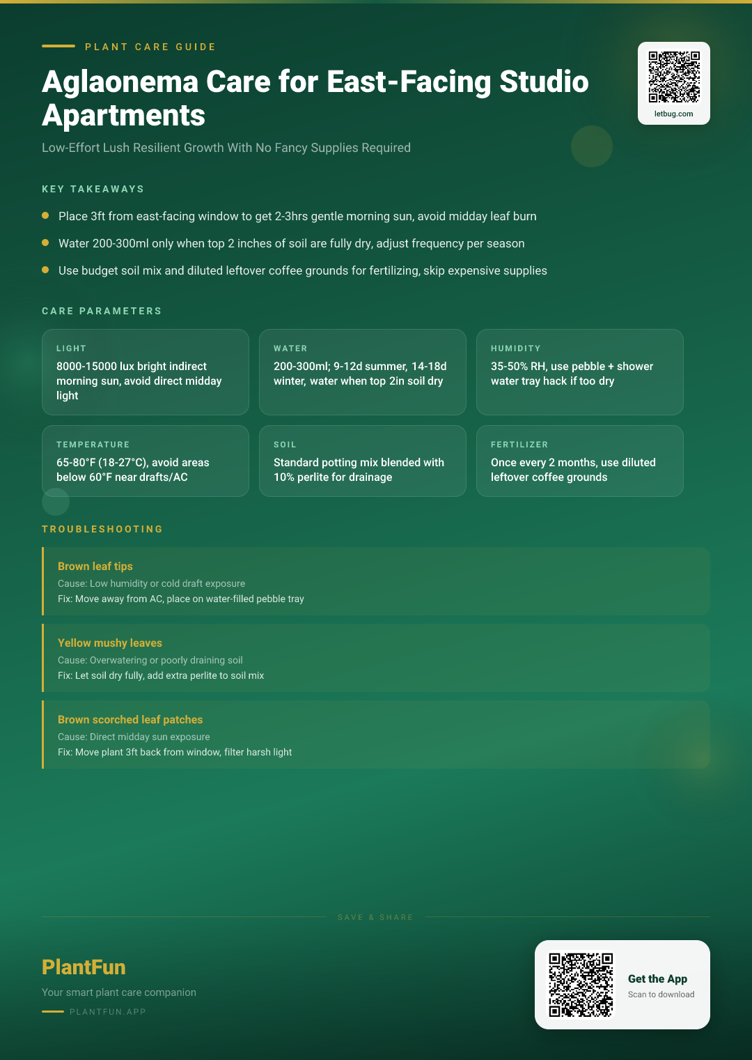 The Complete Aglaonema Care Checklist for East-Facing Studio Apartments to Boost Resilient Lush Growth — Care Guide for indoor houseplants