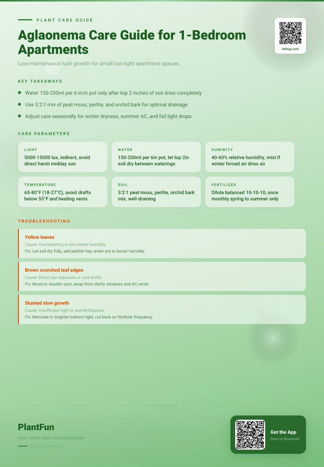 The Complete Aglaonema Care Guide for 1-Bedroom Apartments: Seasonal Tips for Resilient Growth — Care Guide for indoor houseplants
