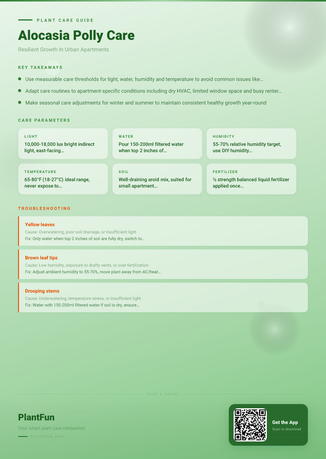 The Complete Alocasia Polly Care Checklist for Resilient Growth in Urban Apartments — Care Guide for indoor houseplants