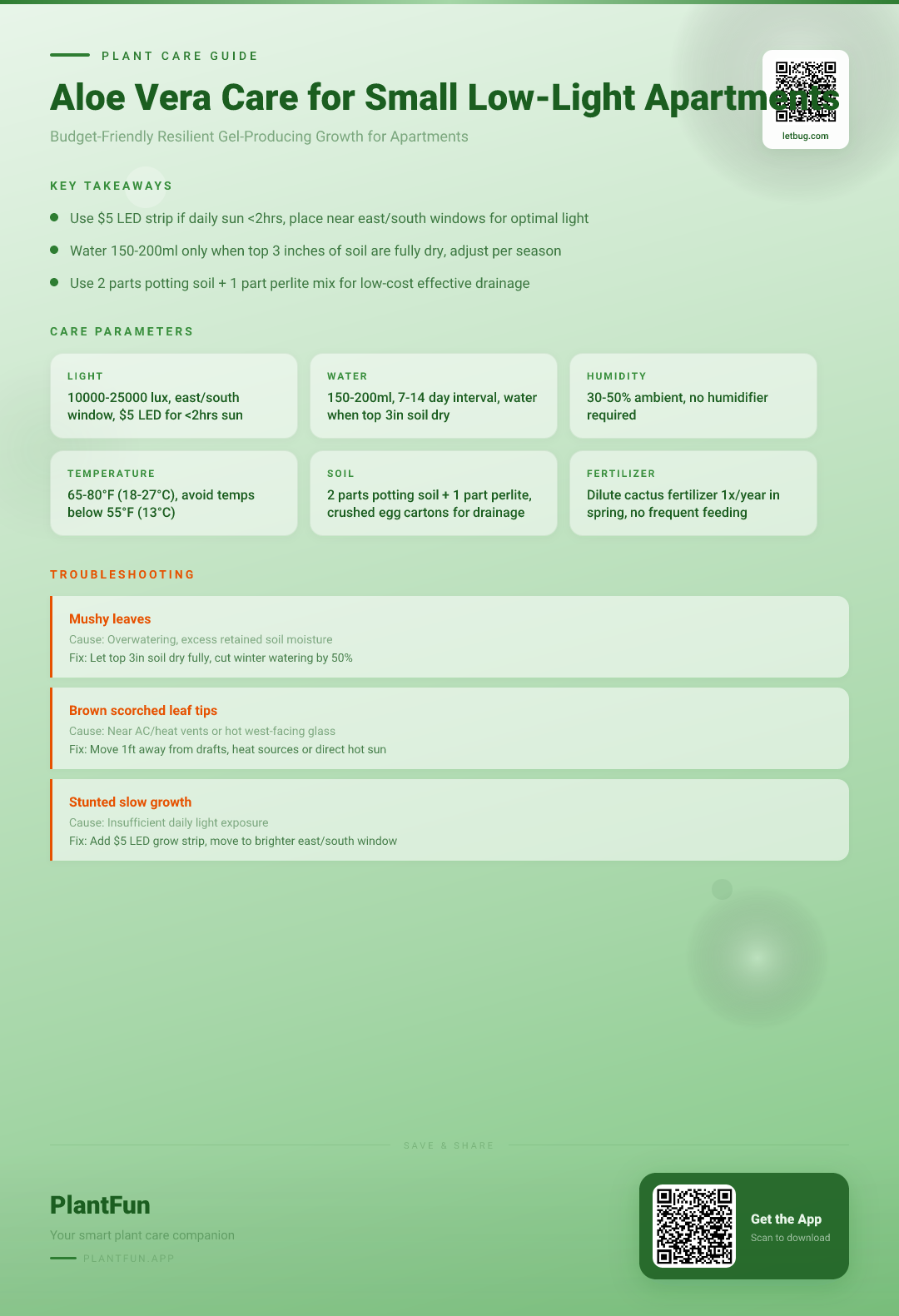 The Complete Aloe Vera Care Guide for Small Low-Light Apartments: Resilient Growth On A Budget — Care Guide for indoor houseplants