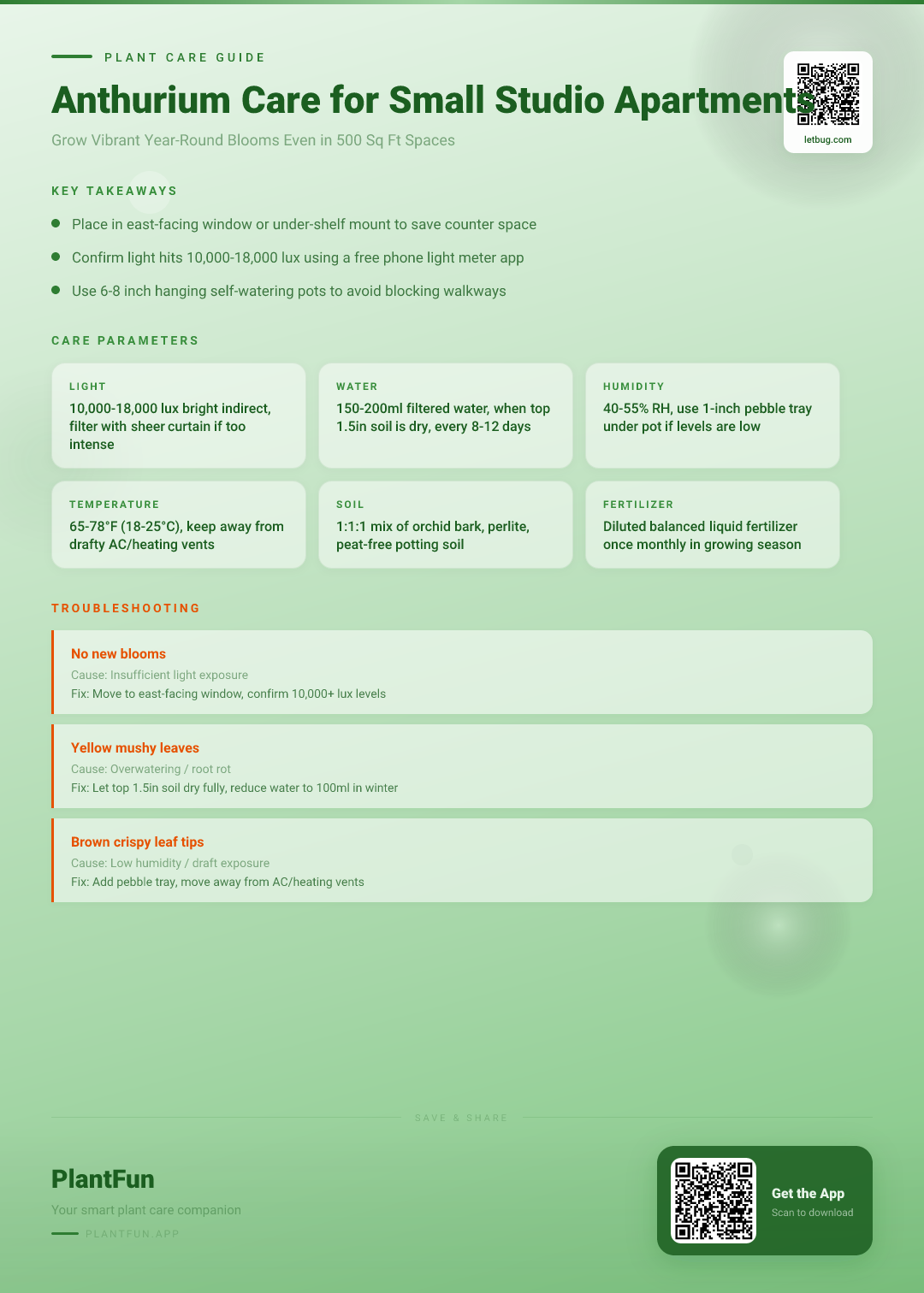 The Complete Anthurium Care Guide for 500 Sq Ft Studio Apartments: Grow Blooms Year-Round — Care Guide for indoor houseplants