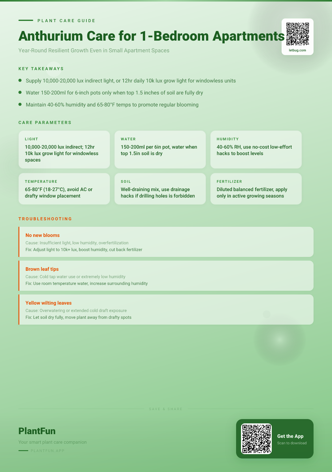 The Complete Anthurium Care Guide for Typical 1-Bedroom Apartments: Year-Round Resilient Growth — Care Guide for indoor houseplants