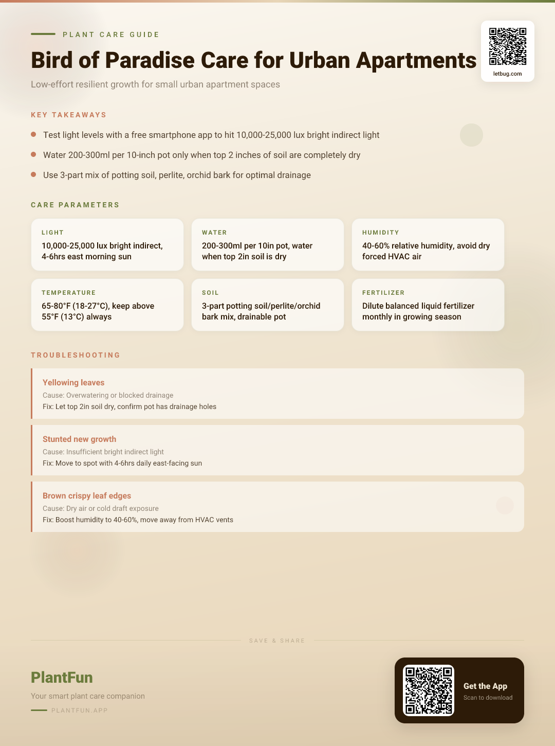 The Complete Bird of Paradise Care Checklist for Resilient Growth in Small Urban Apartments — Care Guide for indoor houseplants