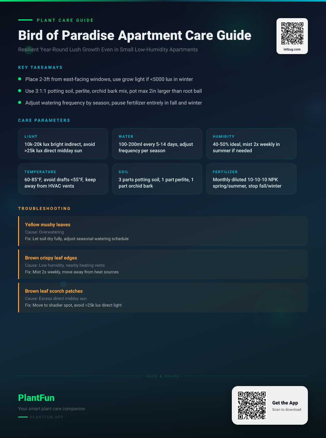The Complete Bird of Paradise Care Guide for Standard Apartments: Resilient Year-Round Growth — Care Guide for indoor houseplants