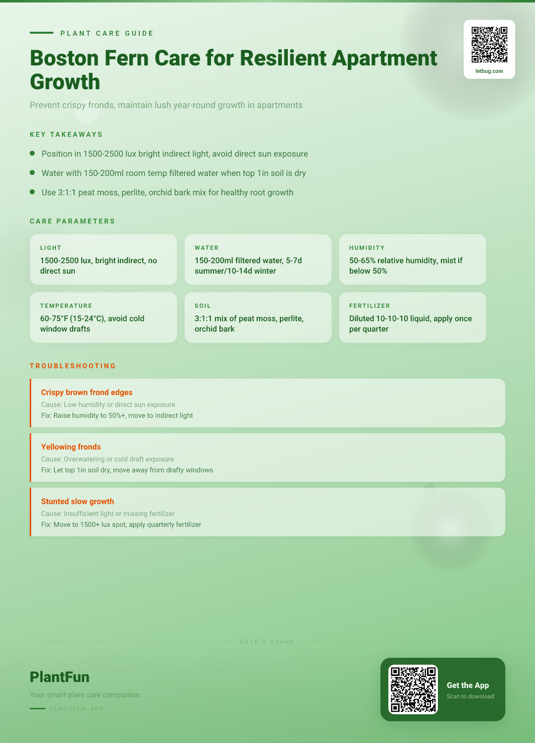 The Complete Boston Fern Care Checklist for Resilient Growth in Typical Apartments — Care Guide for indoor houseplants