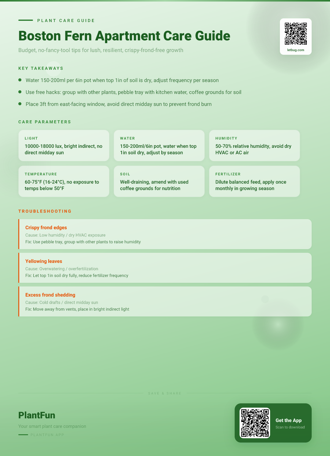 The Complete Boston Fern Care Guide for Apartments: Budget Tips for Lush, Resilient Growth — Care Guide for indoor houseplants