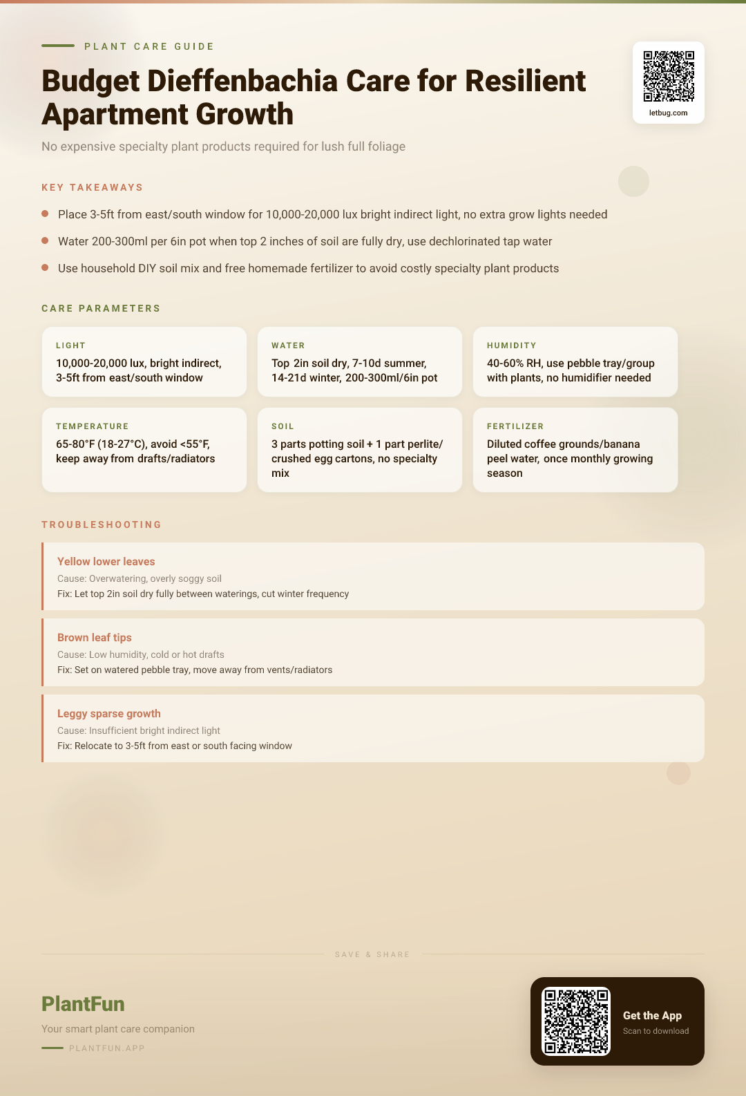 The Complete Budget Dieffenbachia Care Checklist for Resilient Growth in Typical Apartments — Care Guide for indoor houseplants