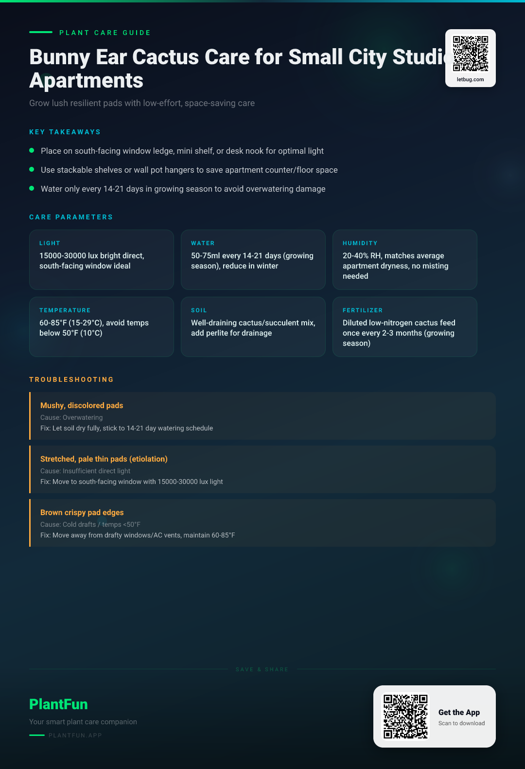 The Complete Bunny Ear Cactus Care Guide for Small City Studio Apartments: Grow Lush Resilient Pads — Care Guide for indoor houseplants