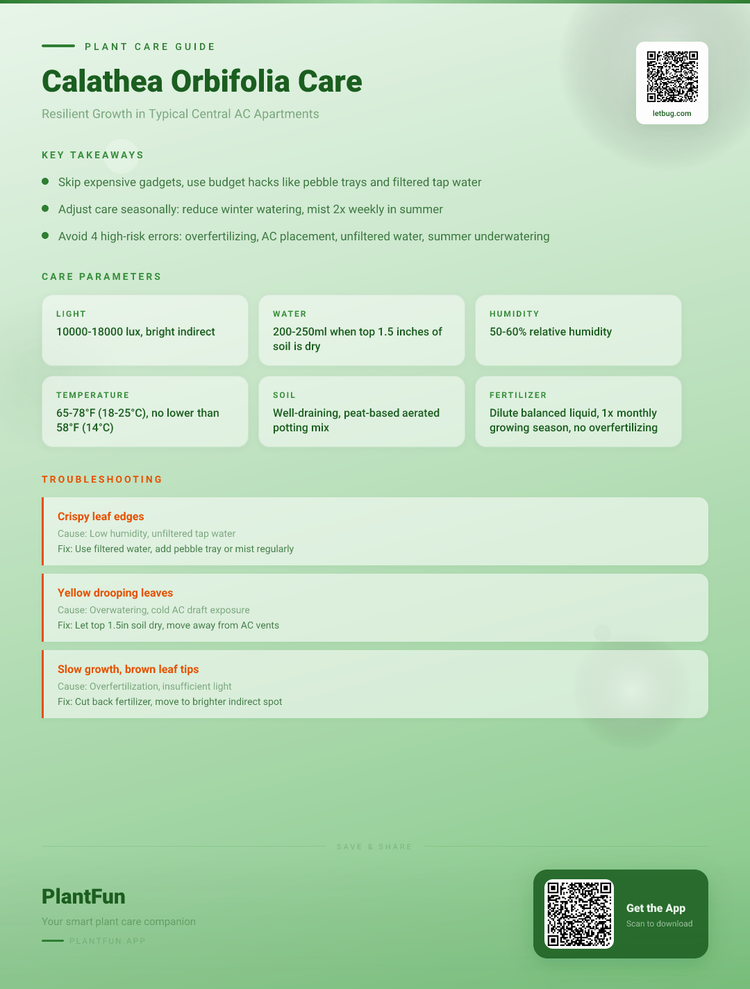 The Complete Calathea Orbifolia Care Checklist for Resilient Growth in Typical Central AC Apartments — Care Guide for indoor houseplants