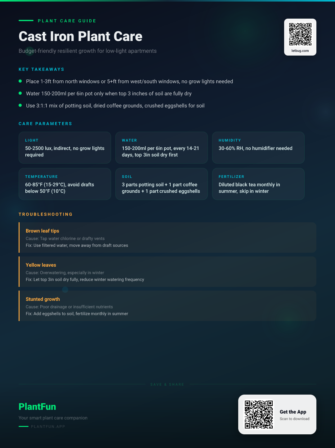 The Complete Cast Iron Plant Care Checklist for Budget-Friendly Resilient Growth in Low-Light Apartments — Care Guide for indoor houseplants