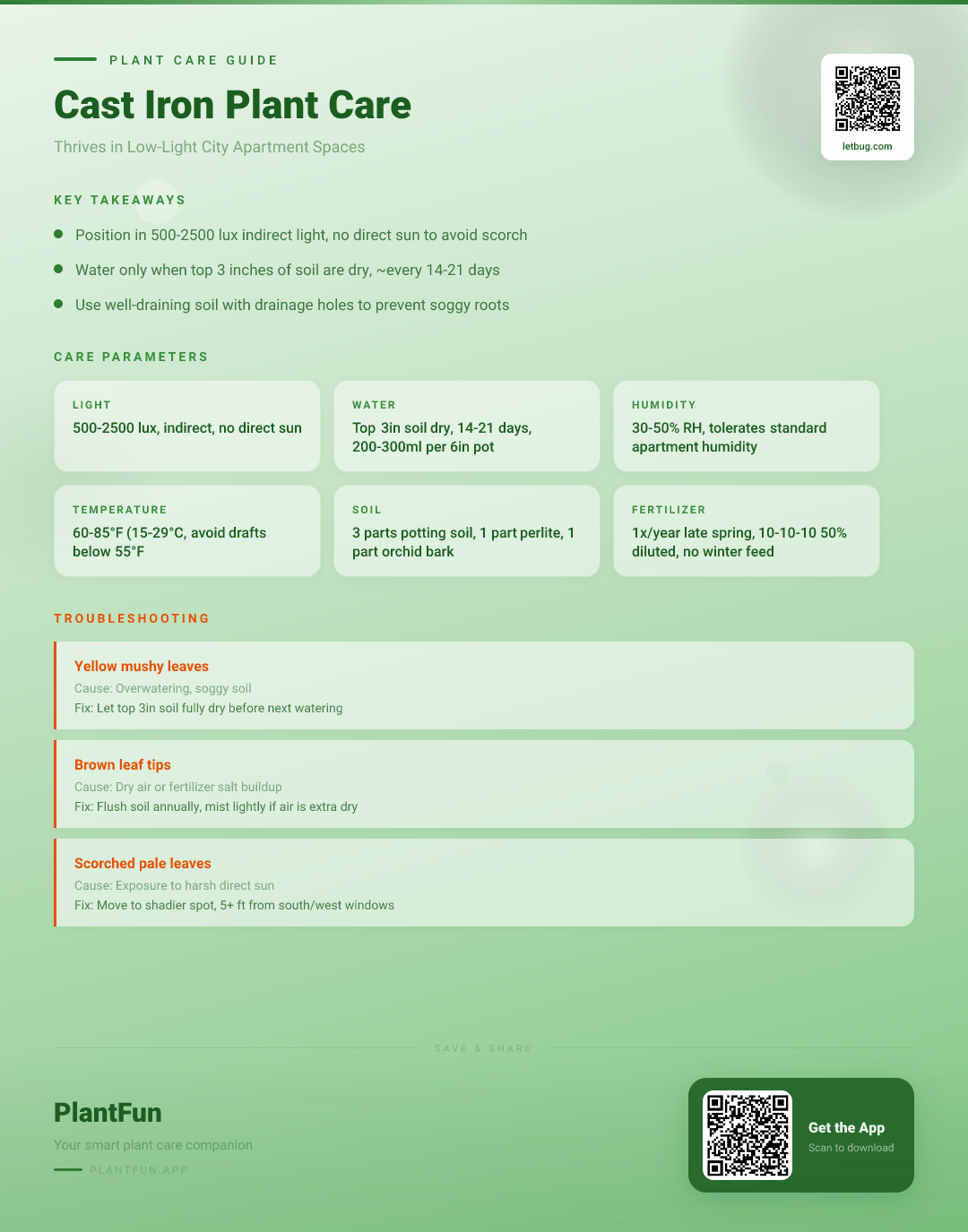 The Complete Cast Iron Plant Care Checklist for Thriving Growth in Low-Light City Apartments — Care Guide for indoor houseplants