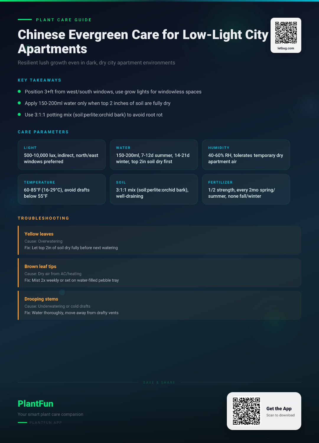 The Complete Chinese Evergreen Care Checklist for Resilient Growth in Low-Light City Apartments — Care Guide for indoor houseplants