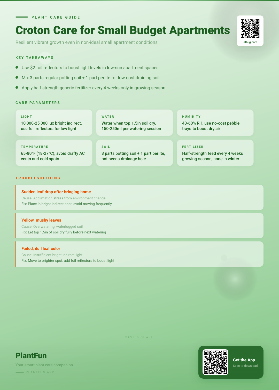 The Complete Croton Care Checklist for Resilient Growth in Small Budget Apartments — Care Guide for indoor houseplants