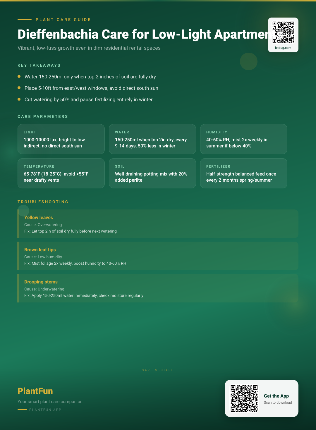 The Complete Dieffenbachia Care Checklist for Resilient Growth in Typical Low-Light Apartments — Care Guide for indoor houseplants