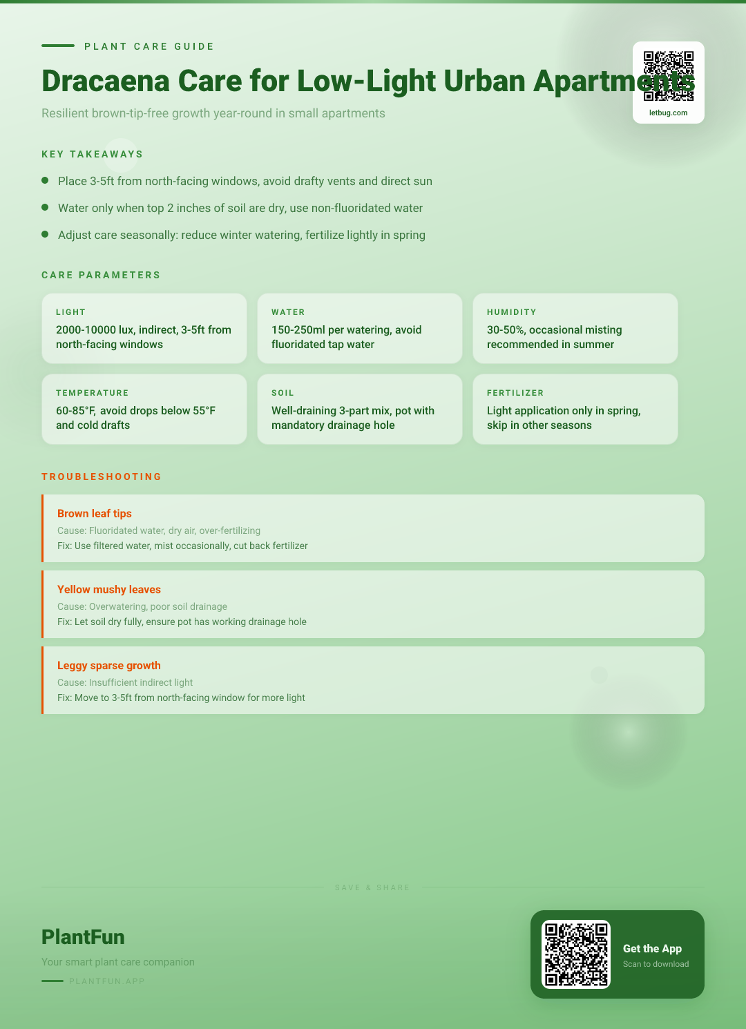The Complete Dracaena Care Checklist for Resilient Growth in Low-Light Urban Apartments — Care Guide for indoor houseplants
