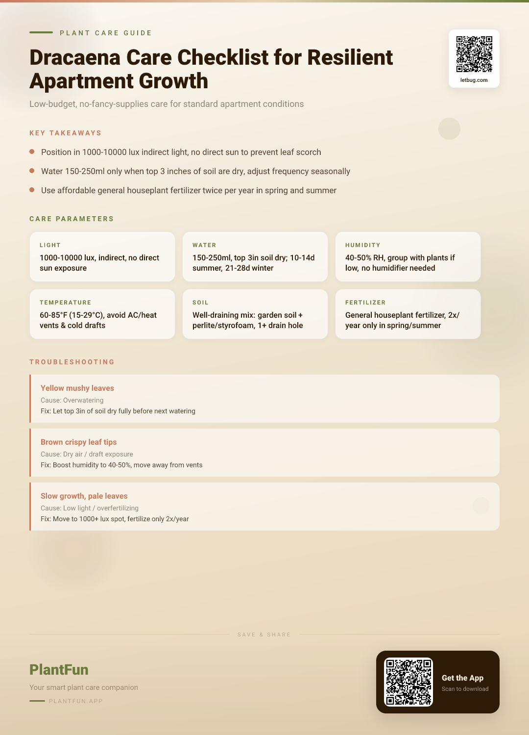 The Complete Dracaena Care Checklist for Resilient Growth in Typical Budget Apartments — Care Guide for indoor houseplants