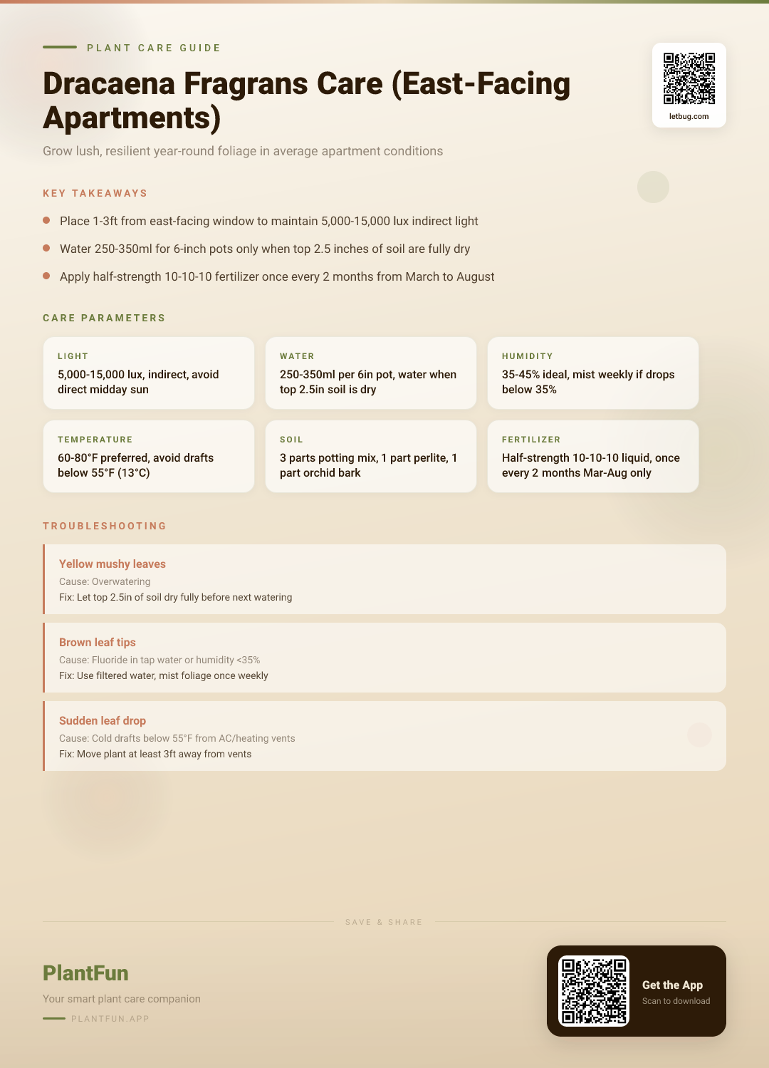 The Complete Dracaena Fragrans Care Guide for East-Facing Apartments: Grow Lush, Resilient Year-Round Foliage — Care Guide for indoor houseplants