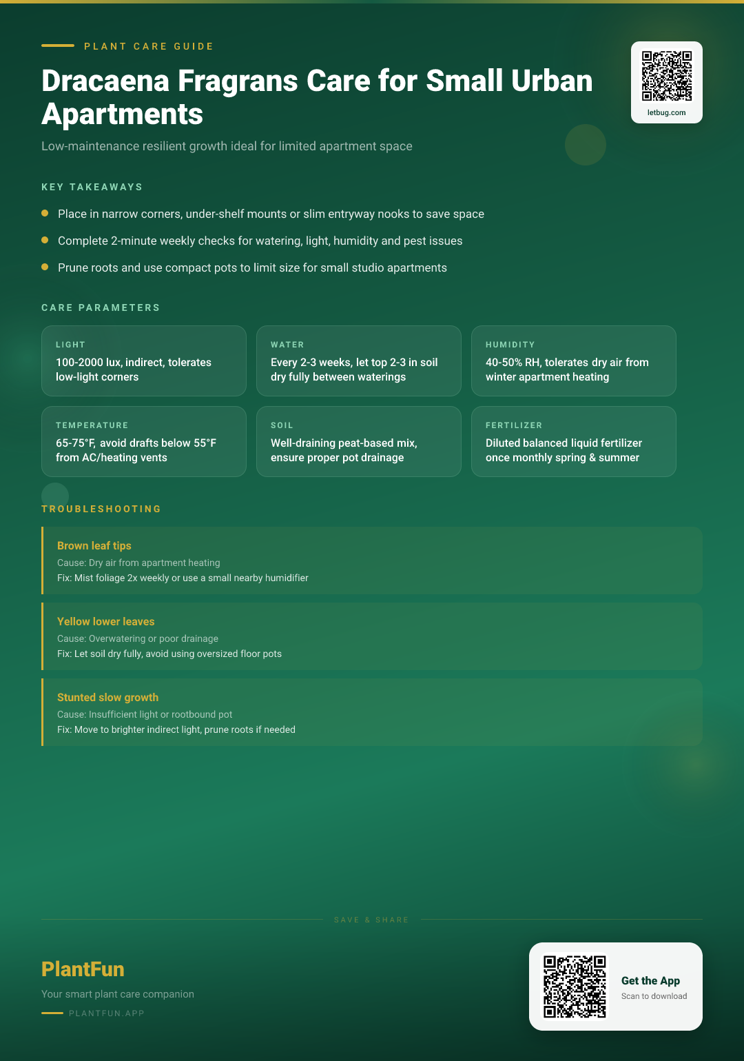 The Complete Dracaena Fragrans Care Guide for Small Urban Apartments: Resilient Growth Made Easy — Care Guide for indoor houseplants